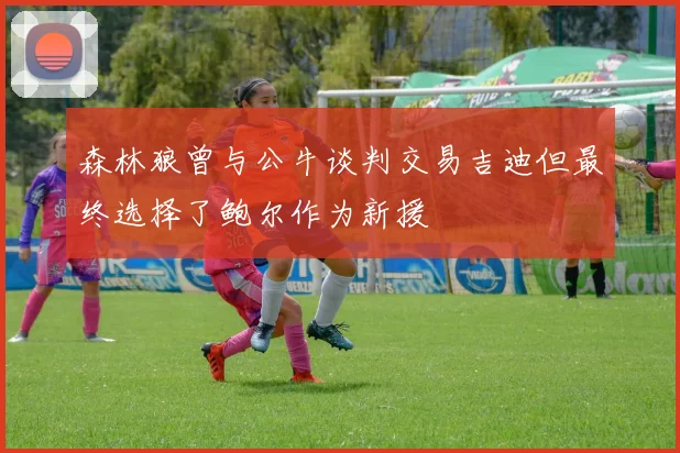 森林狼曾与公牛谈判交易吉迪但最终选择了鲍尔作为新援