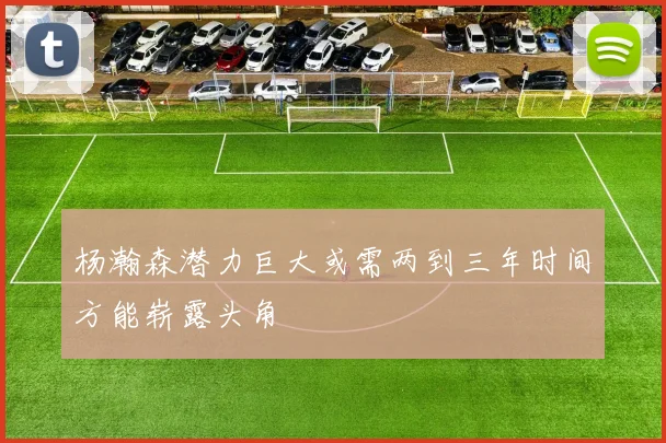 杨瀚森潜力巨大或需两到三年时间方能崭露头角